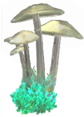 Shroom 1